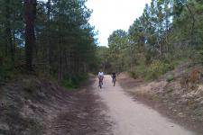 Balade découverte à vélo (mer, marais, forêt) - La Barre de Monts/Fromentine