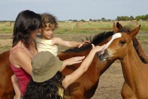 Challans centre equestre balade a cheval vendee des iles randonnee famille enfants