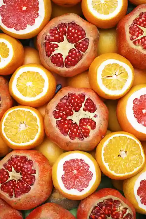 Probiotiques naturels aliments fermentés pour le microbiote intestinal